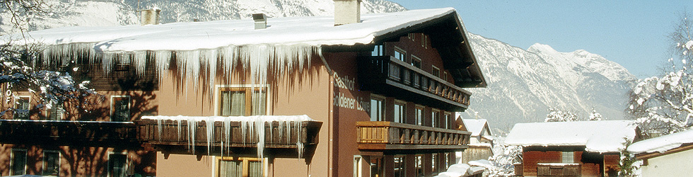 Hotel-Gasthof Goldener Löwe